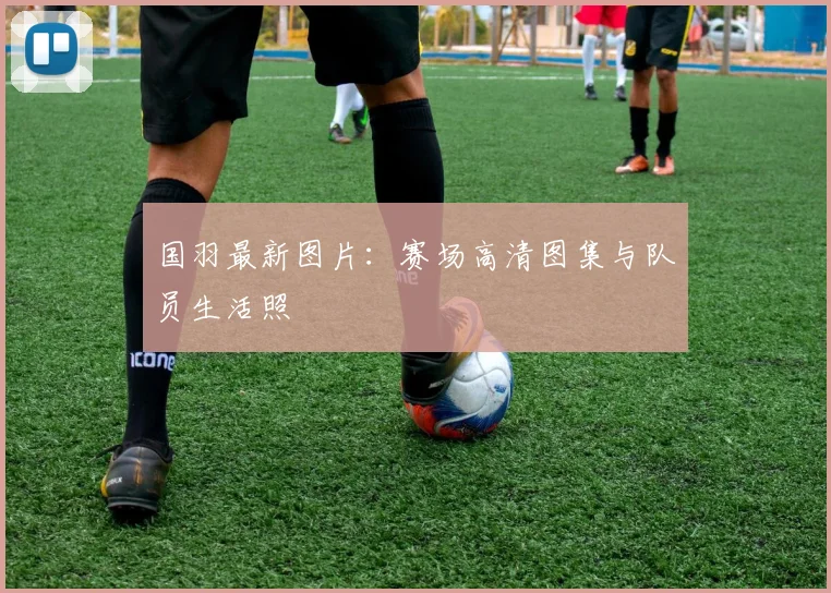 国羽最新图片：赛场高清图集与队员生活照