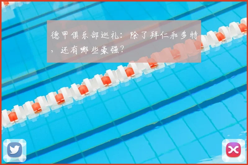 德甲俱乐部巡礼：除了拜仁和多特，还有哪些豪强？