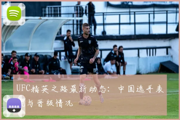 UFC精英之路最新动态：中国选手表现与晋级情况